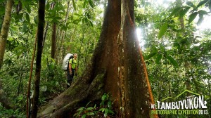 Mount Tambuyukon Expedition  